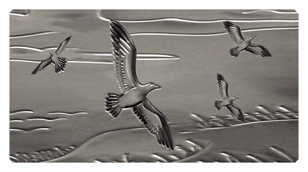 511 DSC700 512 SL Going Home Silver Birds